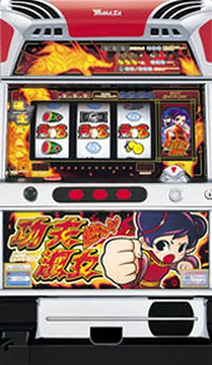 燃えよ!功夫淑女